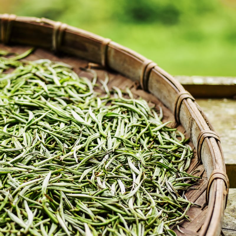 "Tôm Bạc" - Bạch Trà Shan Tuyết 100g 4 "Tôm Bạc" - Bạch Trà Shan Tuyết 100g - Ảnh 4