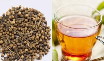 10 Tác Dụng Của Lá Vối & Cách Pha