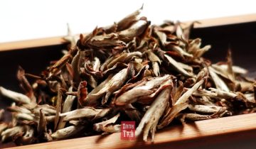 Các Loại Bạch Trà Shan Tuyết Của Việt Nam